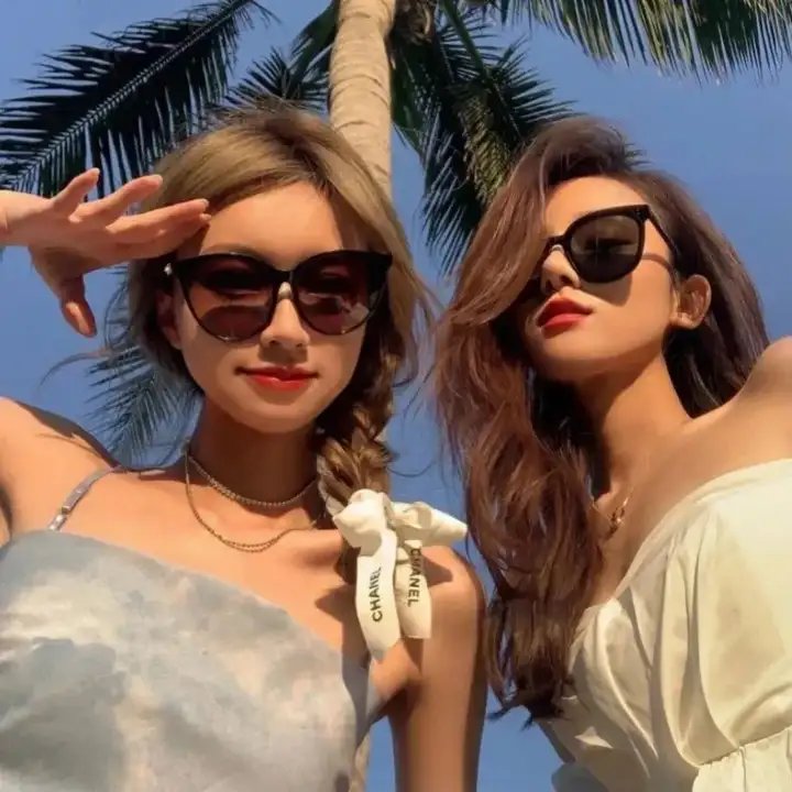 狗狗监护权